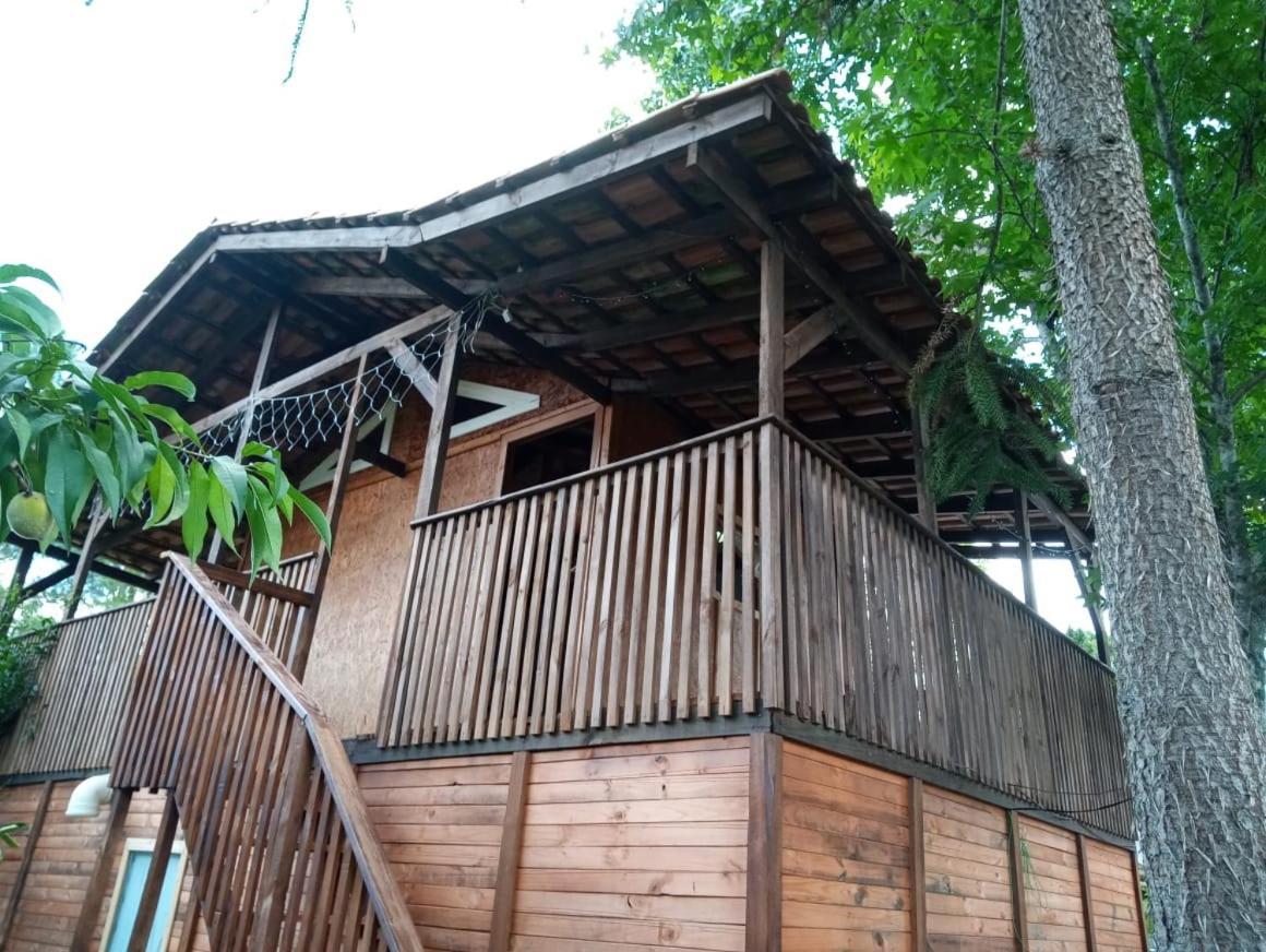 坎普阿莱格里 Mini House Park酒店 外观 照片
