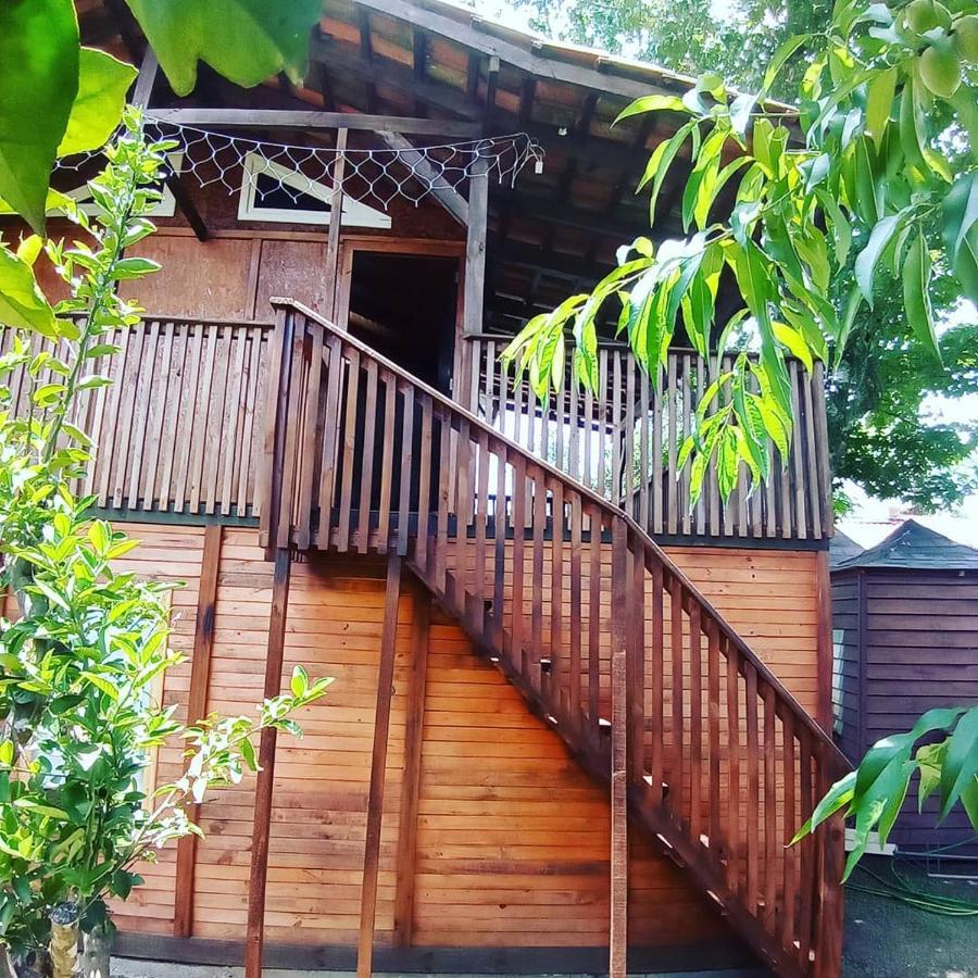 坎普阿莱格里 Mini House Park酒店 外观 照片