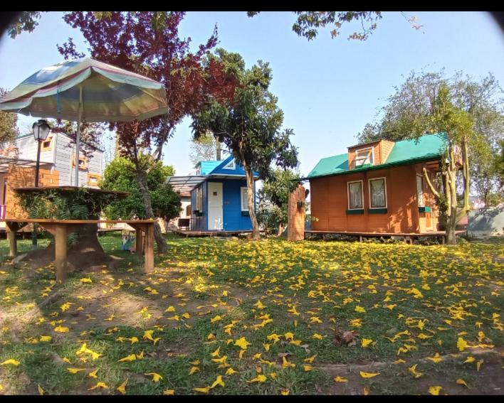 坎普阿莱格里 Mini House Park酒店 外观 照片