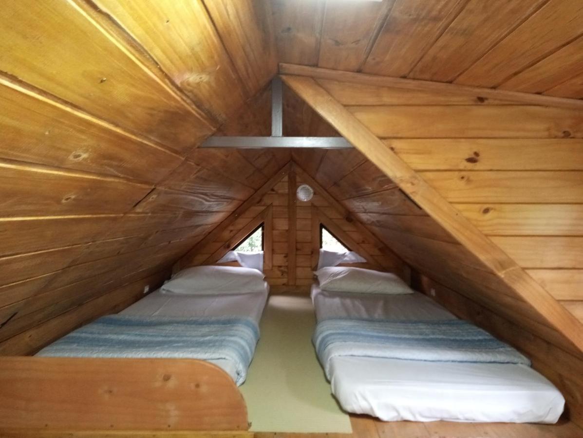 坎普阿莱格里 Mini House Park酒店 外观 照片